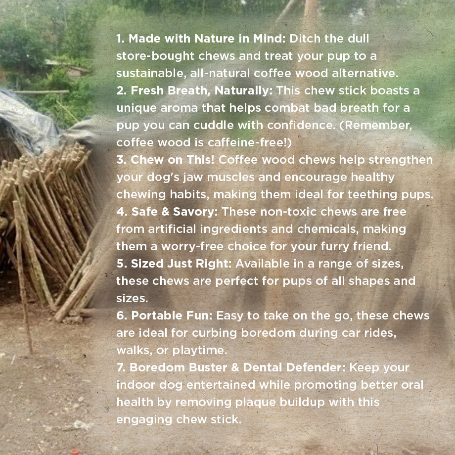 Coffee Wood & Coconut Rope Chew Toy for Dogs