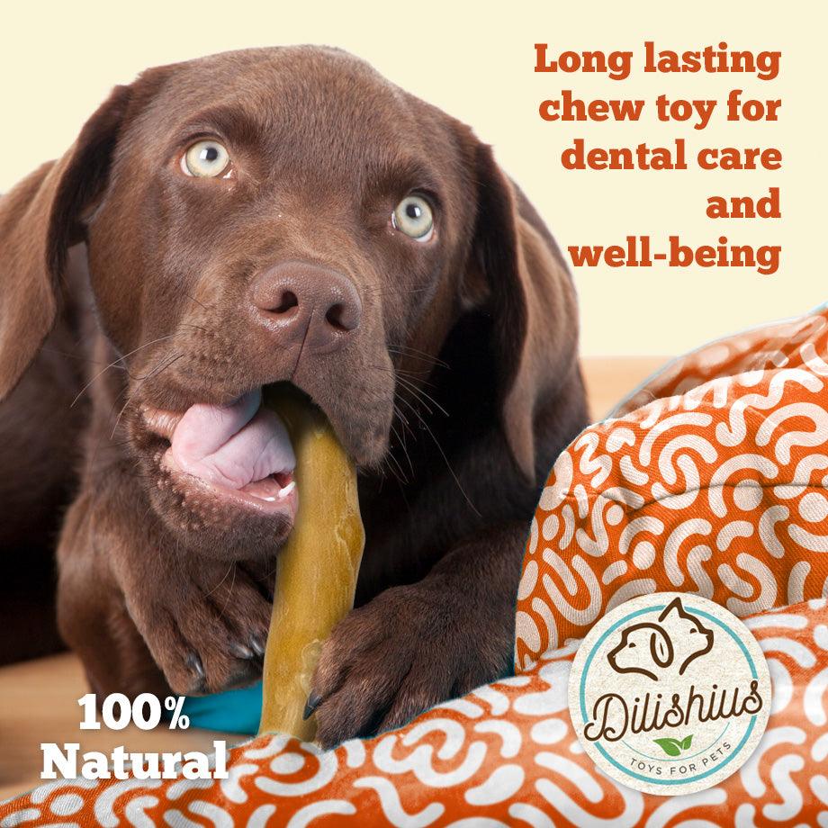 Cinnamon Wood Dog Chew