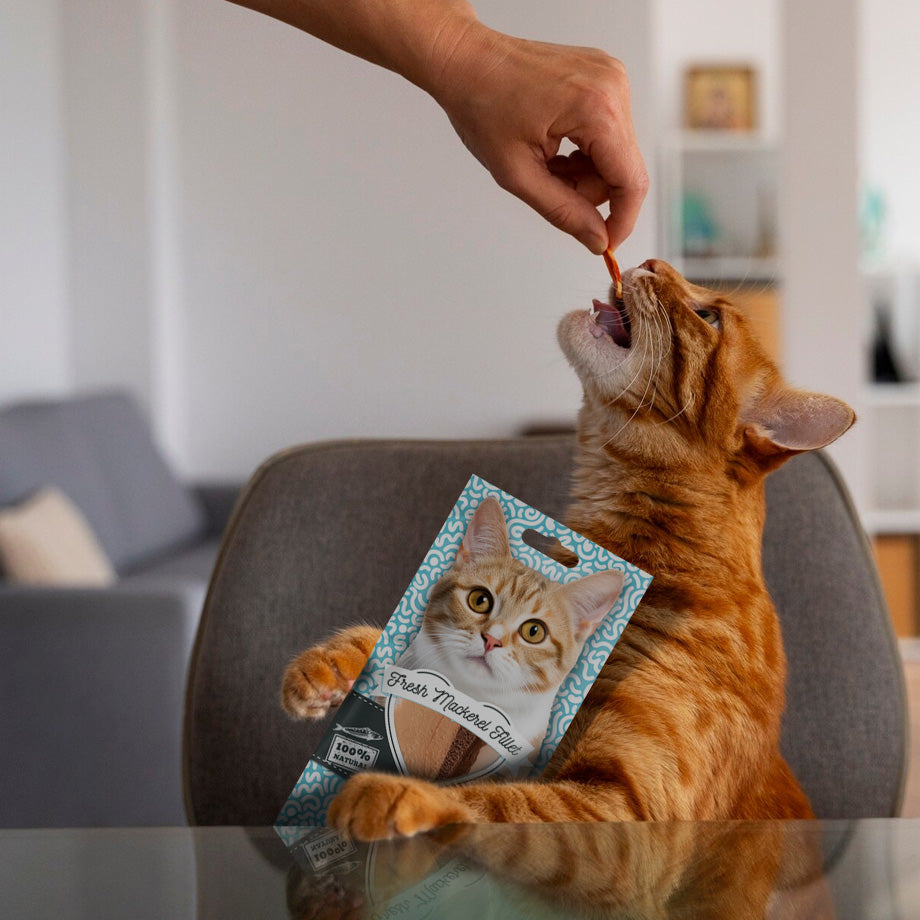 100% Fresh Filet Grill Mackerel 25g