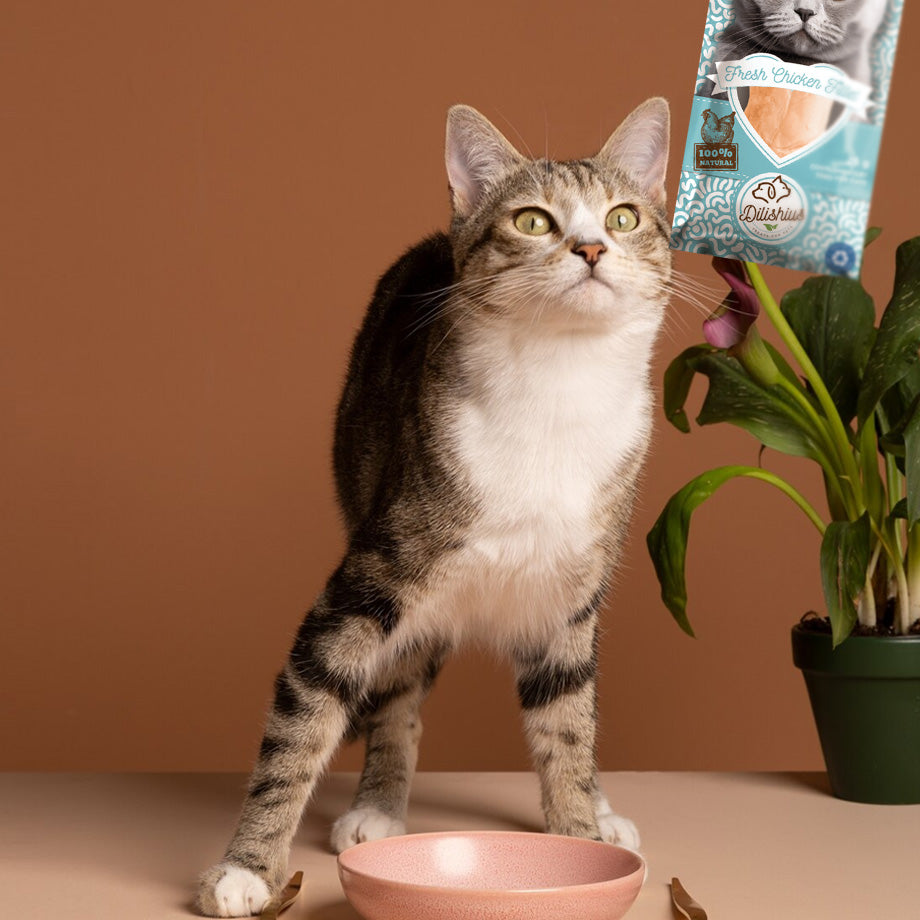 100% Fresh Filet Grill Chicken 25g