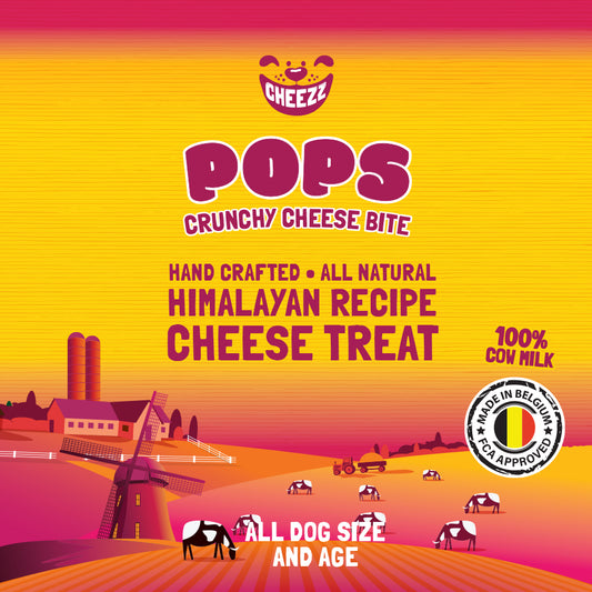 POPS - Himalayan Crunchy Cheese Bite 25g