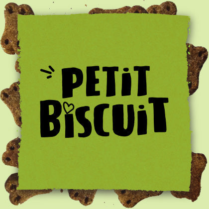 Petit Biscuit