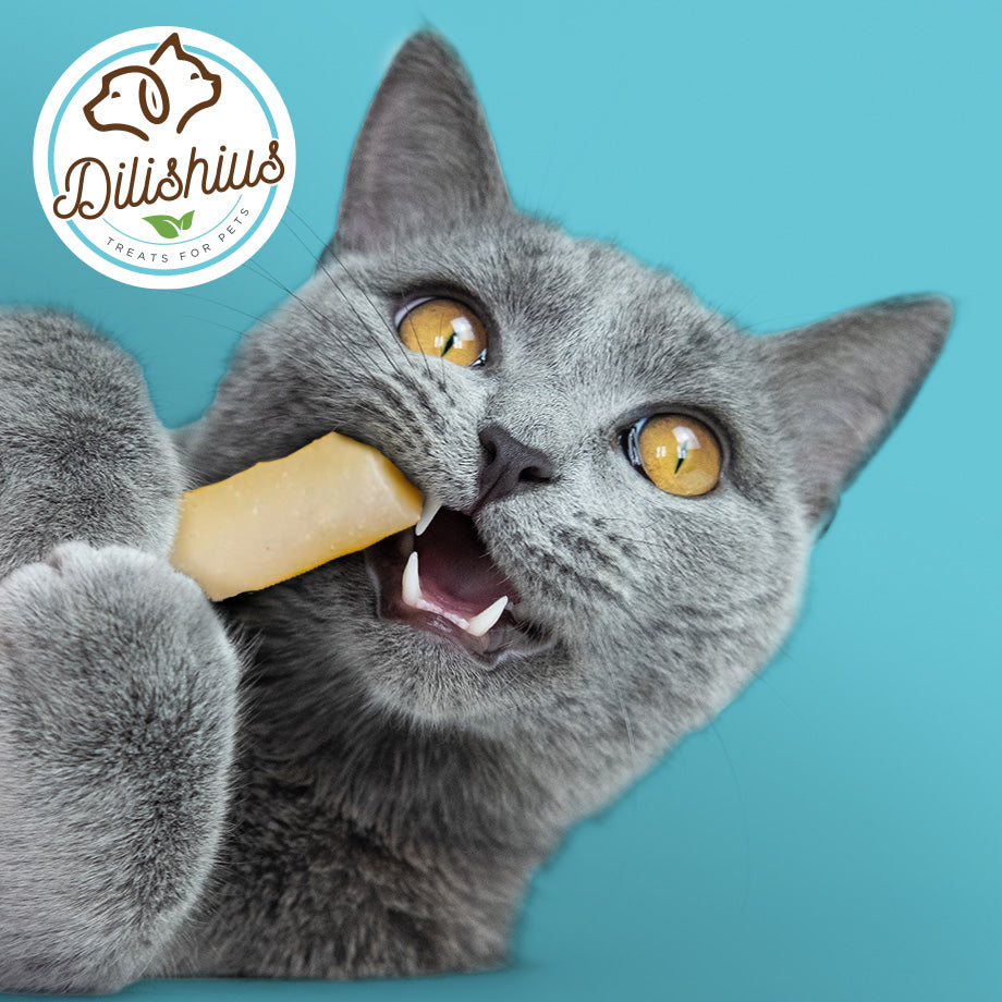 Goat Cheese Trainers for Cats 30g