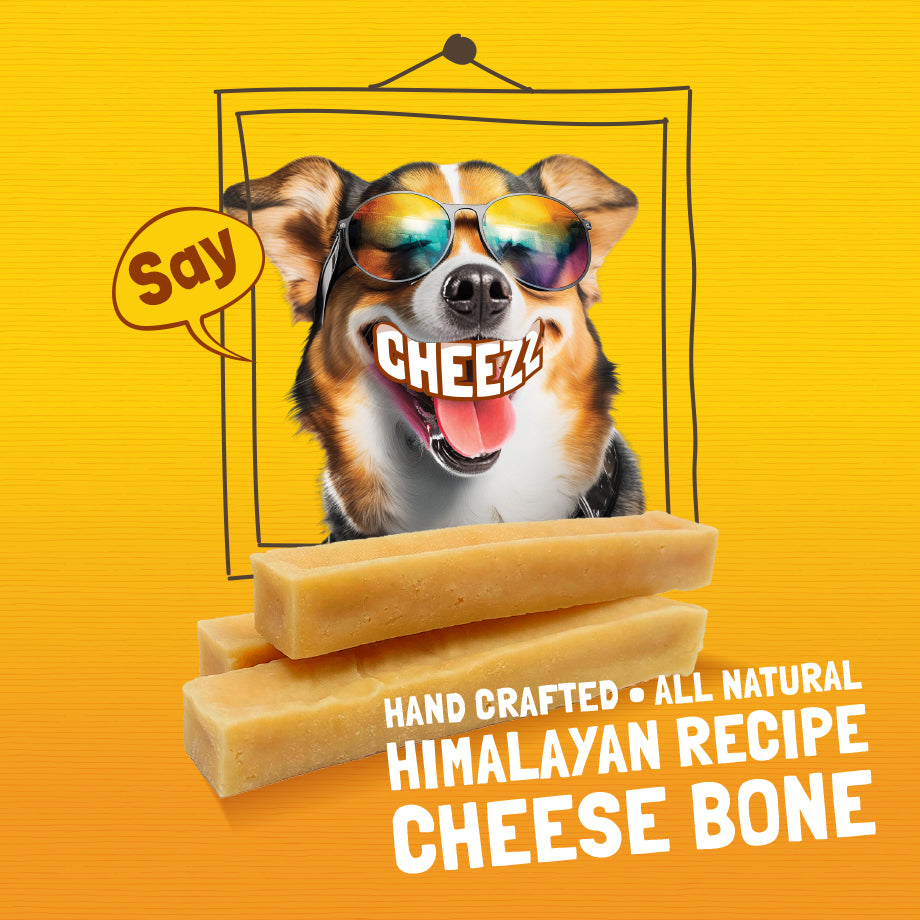 Functional Dog Chews - Spirulina