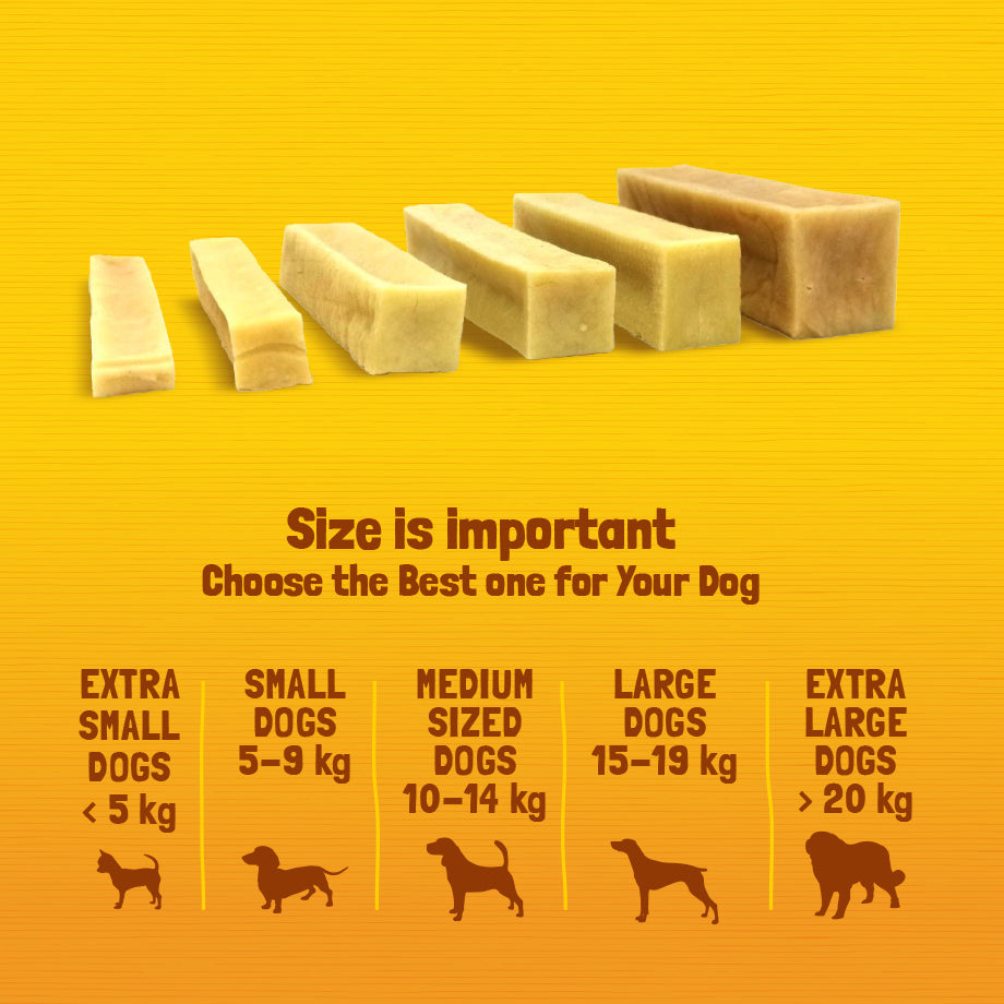 Functional Dog Chews - Spirulina