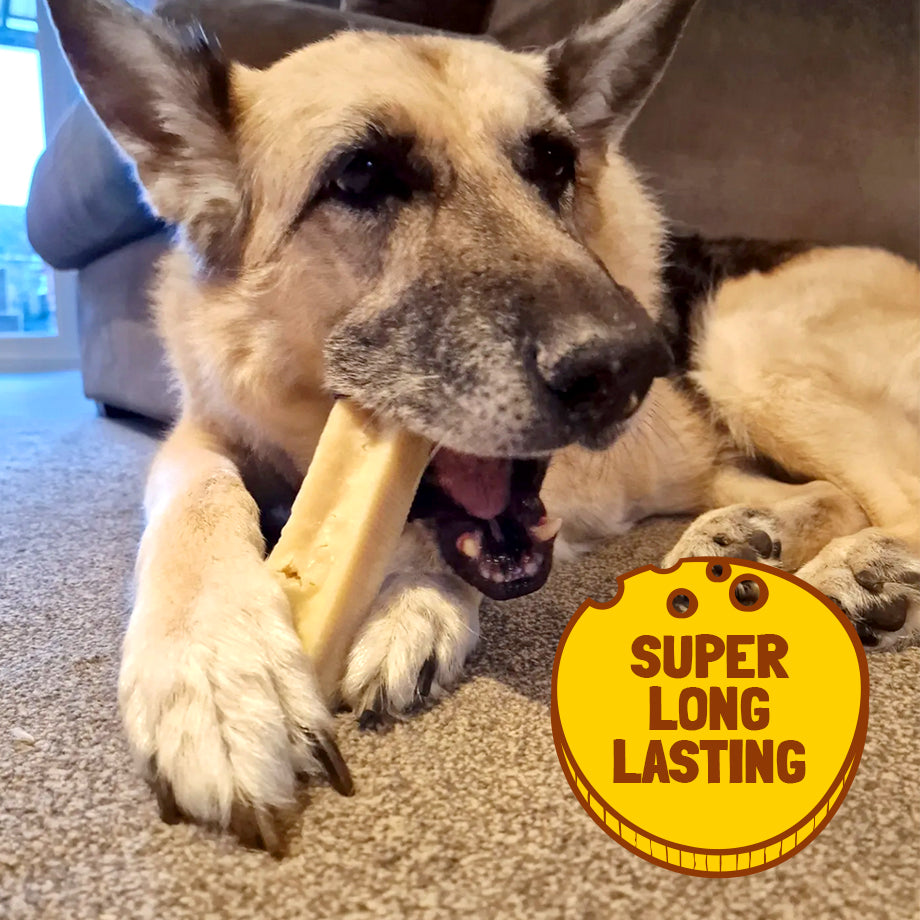 Functional Dog Chews - Spirulina