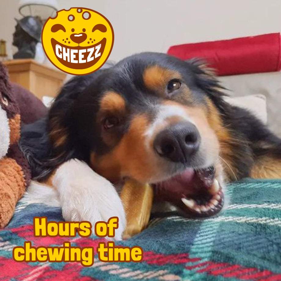 Himalayan Dog Chews in Ziplock bag