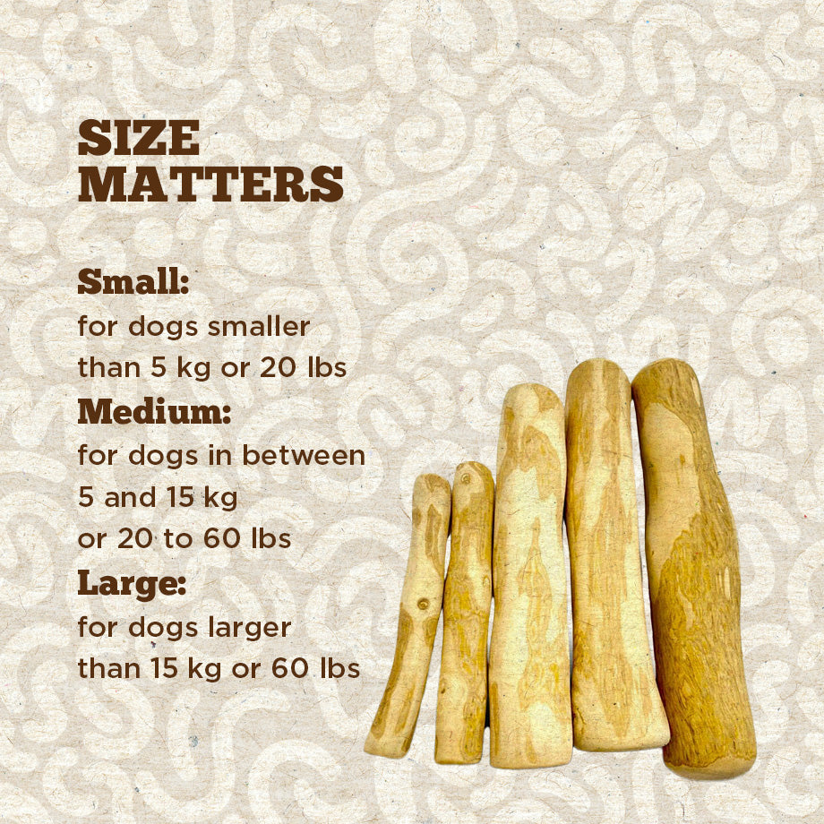 Coffee Wood Dog Chew