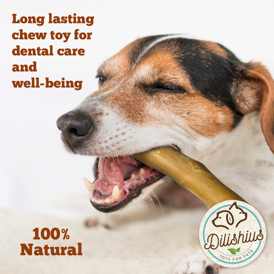 Cinnamon Wood Dog Chew