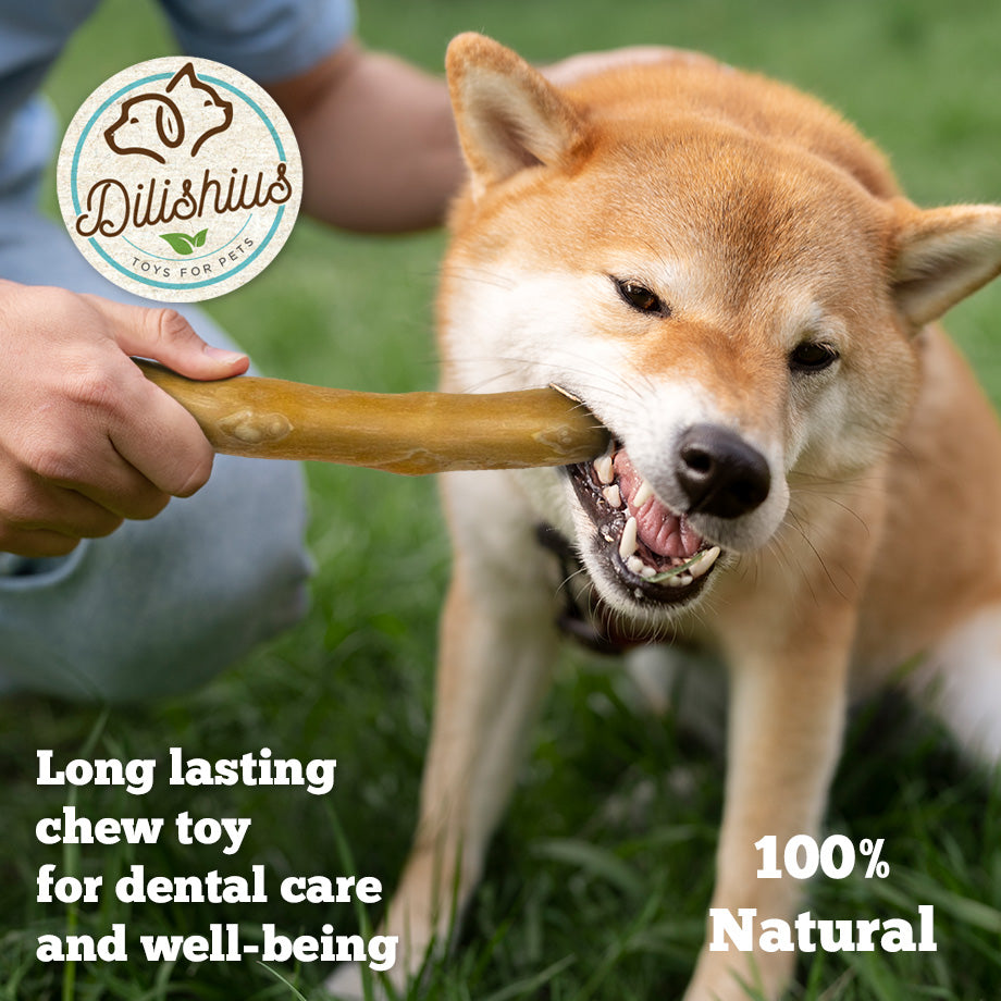 Coffee Wood Dog Chew