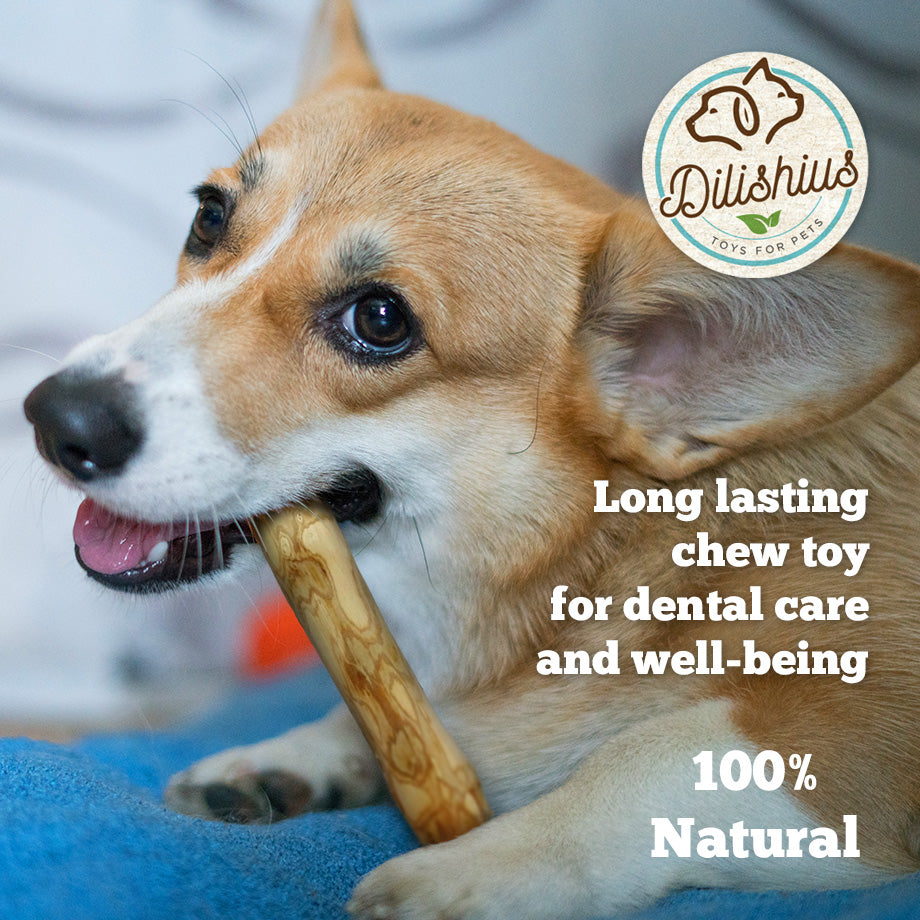 Coffee Wood Dog Chew