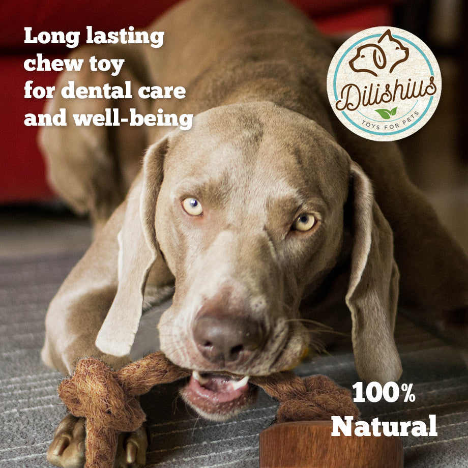 Coffee Wood & Coconut Rope Chew Toy for Dogs