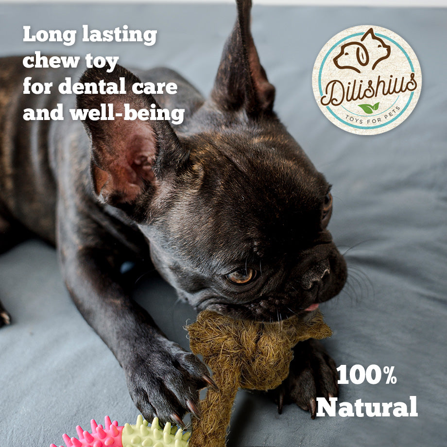 Cinnamon Wood & Coconut Rope Chew Toy for Dogs