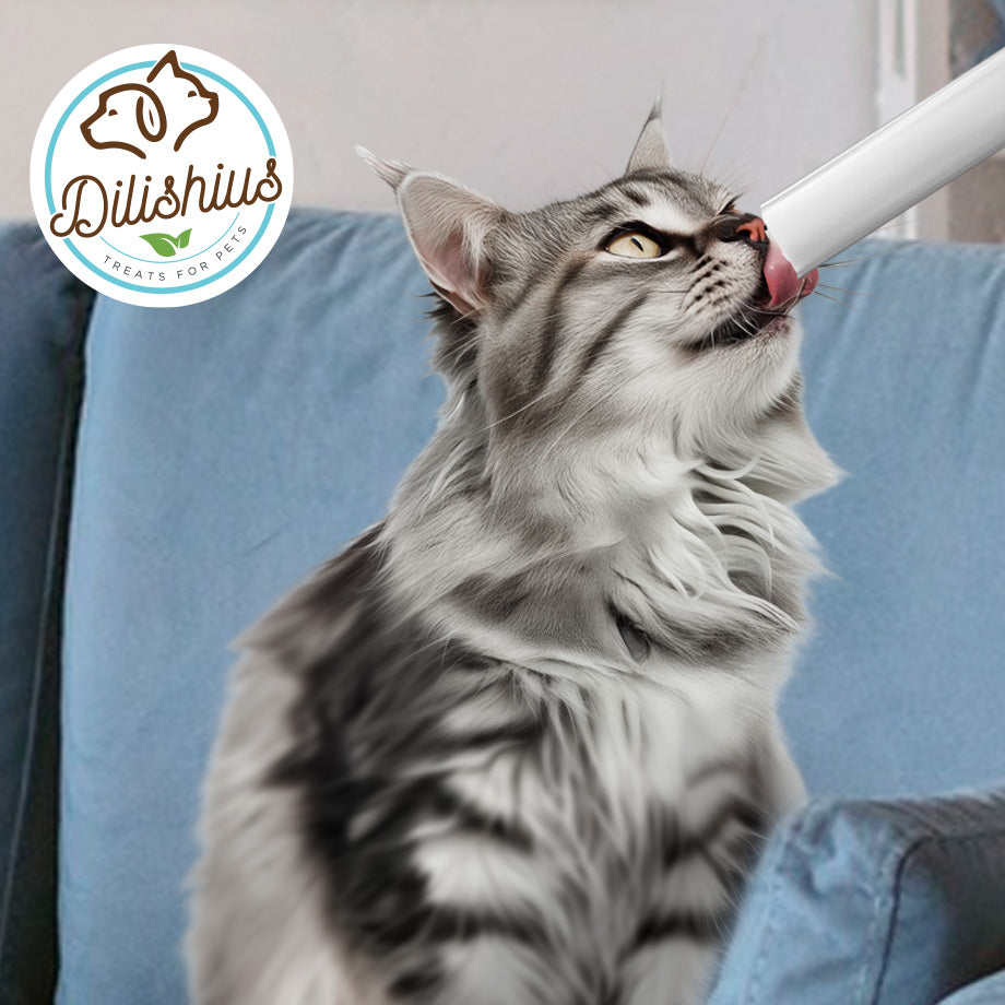 Lick Stick CHICKEN 48g