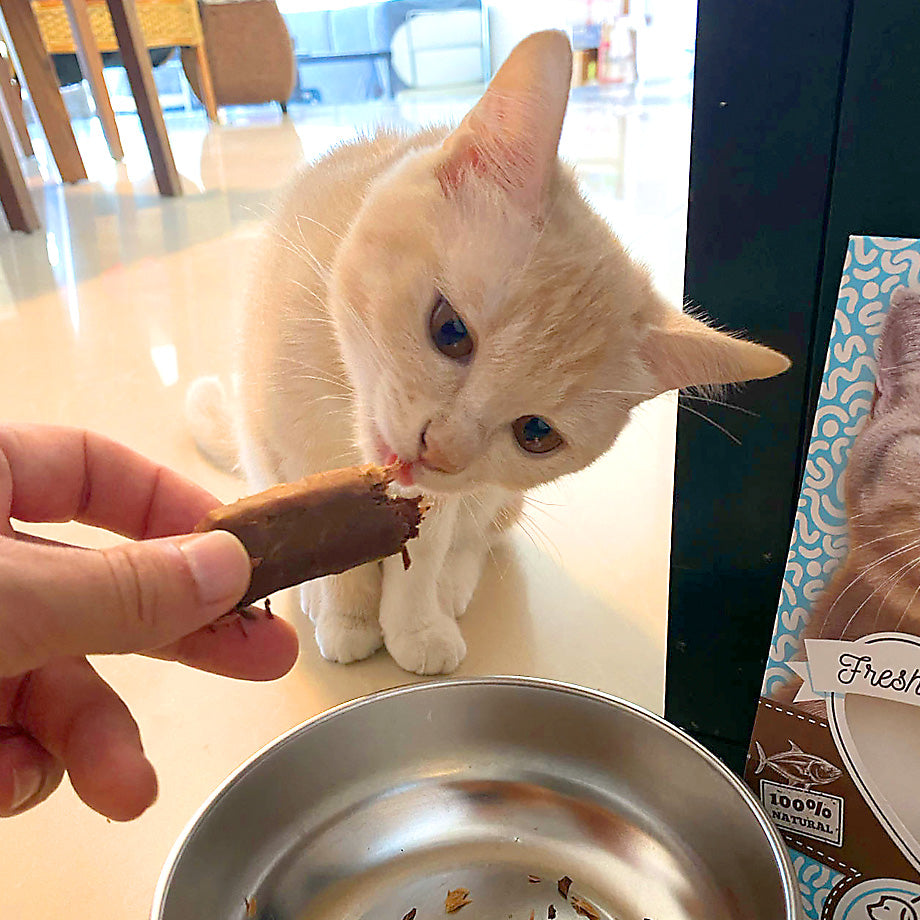 100% Fresh Tuna Filet 25g