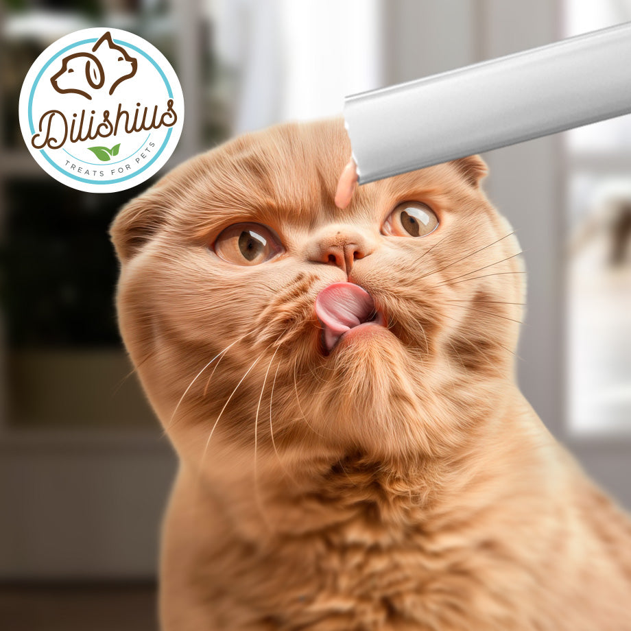 Lick Stick SALMON 48g