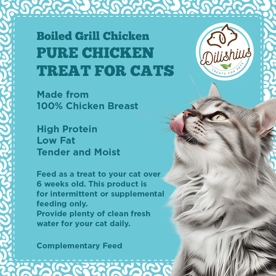 100% Fresh Filet Grill Chicken 25g