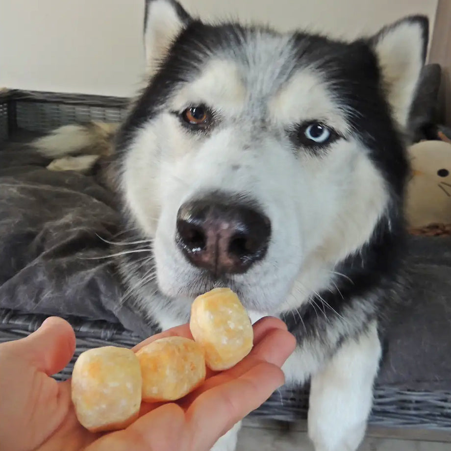 POPS - Himalayan Crunchy Cheese Bite 25g