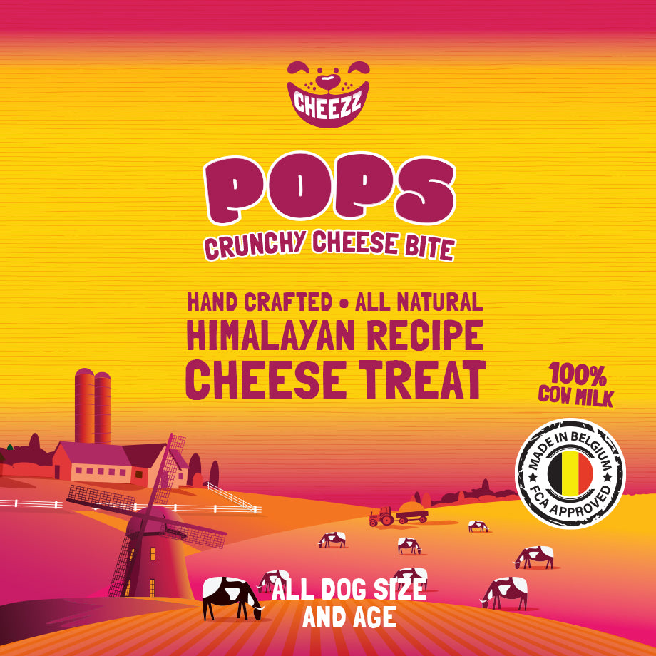 POPS - Himalayan Crunchy Cheese Bite 25g