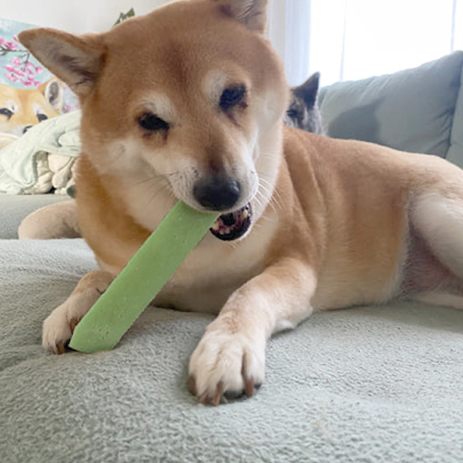 Functional Dog Chews - Spirulina