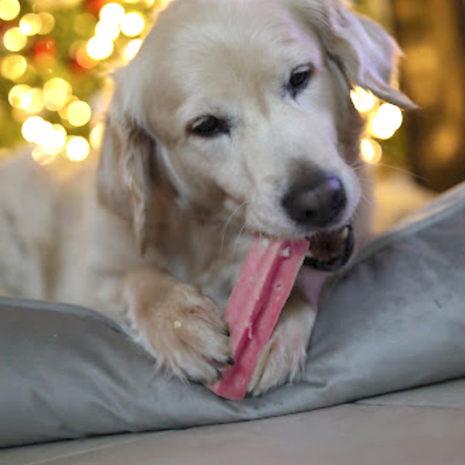 Functional Dog Chews - Strawberry